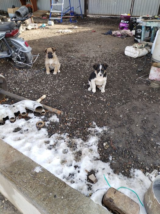 Звонки в хорошие руки