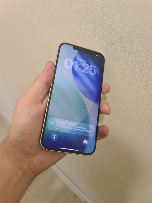 Iphone 12 pro max 256
