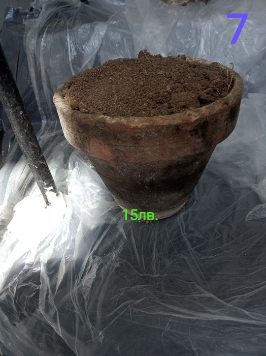 Стар модел саксии за цветя