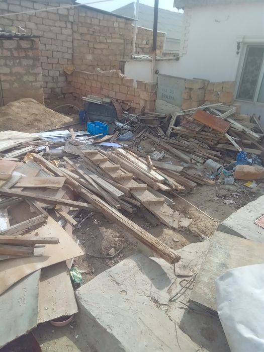 Отынга агаштар бар