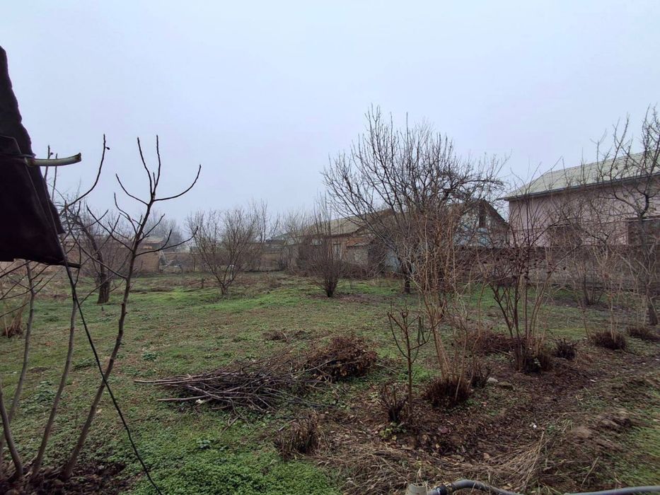 Тошкент вилояти Янгийўл шаҳар Нов