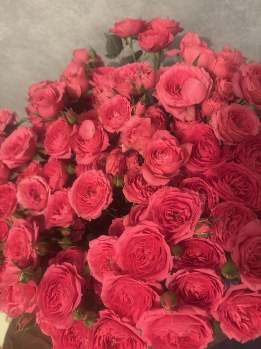 Цветы кустовые розы