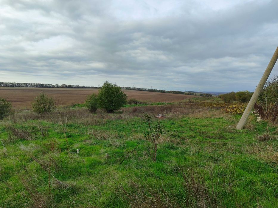 Голям парцел във Ведрина