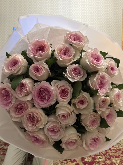 Цветы свежие.    0