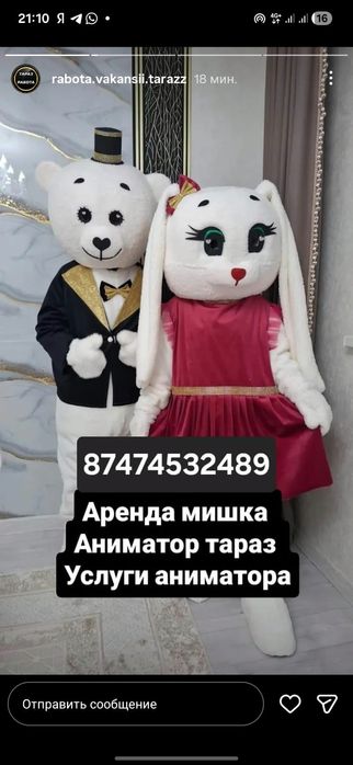 Мишка тедди заяц медведь қоян Аю