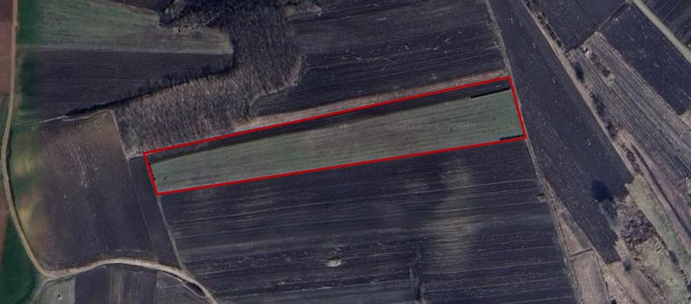 Teren de vanzare - 50 de ari Santioana de Mures