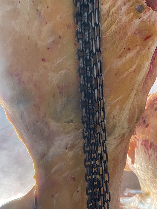 Семіз Биелер сатылады