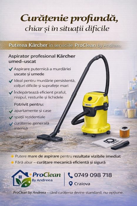 Curățenie profesională case,apartamente,birouri – Craiova
