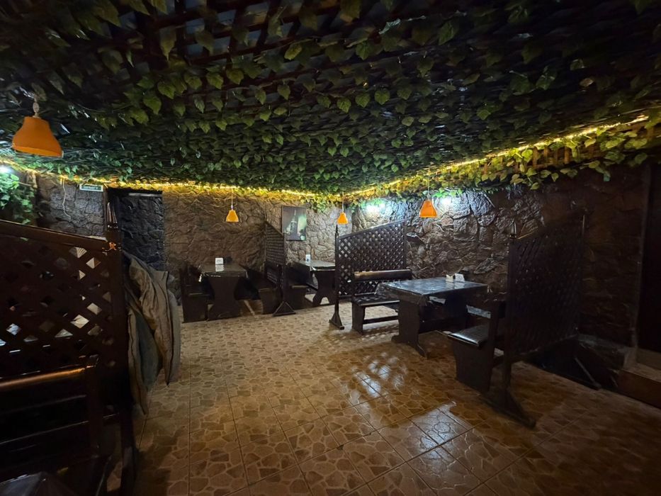 Кафе Шашлычная в Аренду