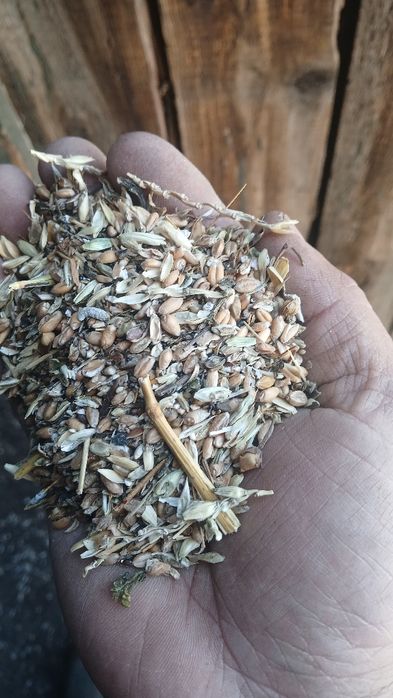 Бидайдың  және лень атходы сатылады