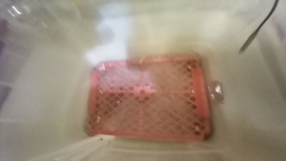 Tovuq tuxumi uchun qo'lbola inkubator 25-30 ta tuxum sigadi