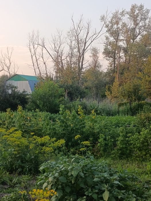 Продам дачу общество арматурщик район желаево