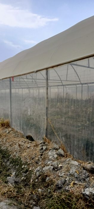 Parnik kantenerdan yasalgan ANDIJONA  USLUBIDA gi ISSIQXONA