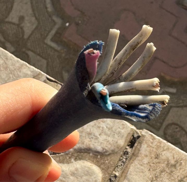 Продам медную проволоку