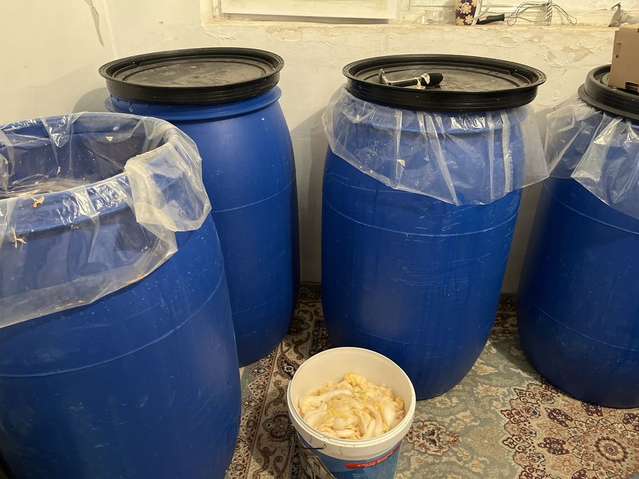 Солоная капуста, свежее