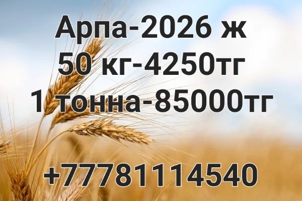 Арпа   сатылады!