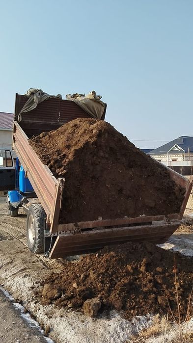 Навоз бар  шириген кон!