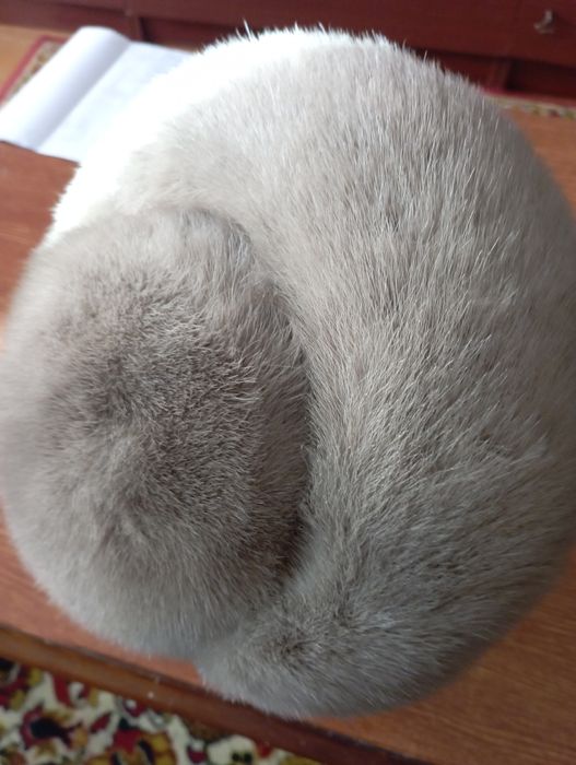 Шапка норковая серая