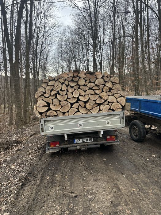 Lemne de foc uscate sau verzi