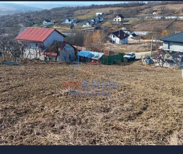 P.F. Teren intravilan Barnova, sat Cercu + autorizatie duplex