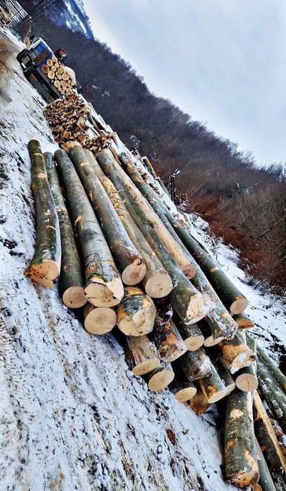 Lemn fag foc transport