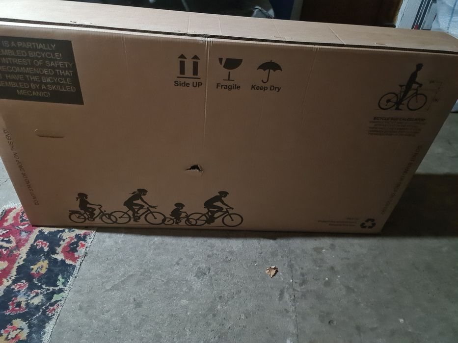 Bicicleta Timișoreana
