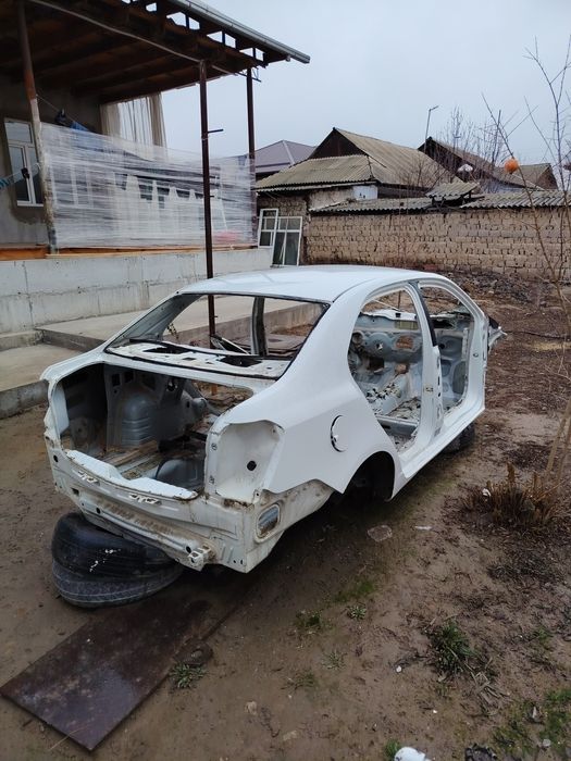 Kuzif kobilt radnoy bo'lgan orqa butun o'n tomon butun