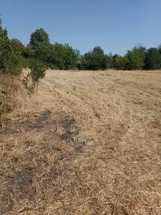 Продава се Парцел в с. Ловец, Област Стара Загора - 3200 кв.м за 5 €/кв.м - Снимка #3