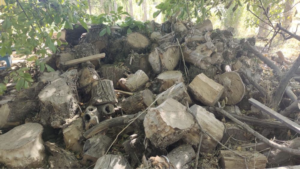 Драва отын драва