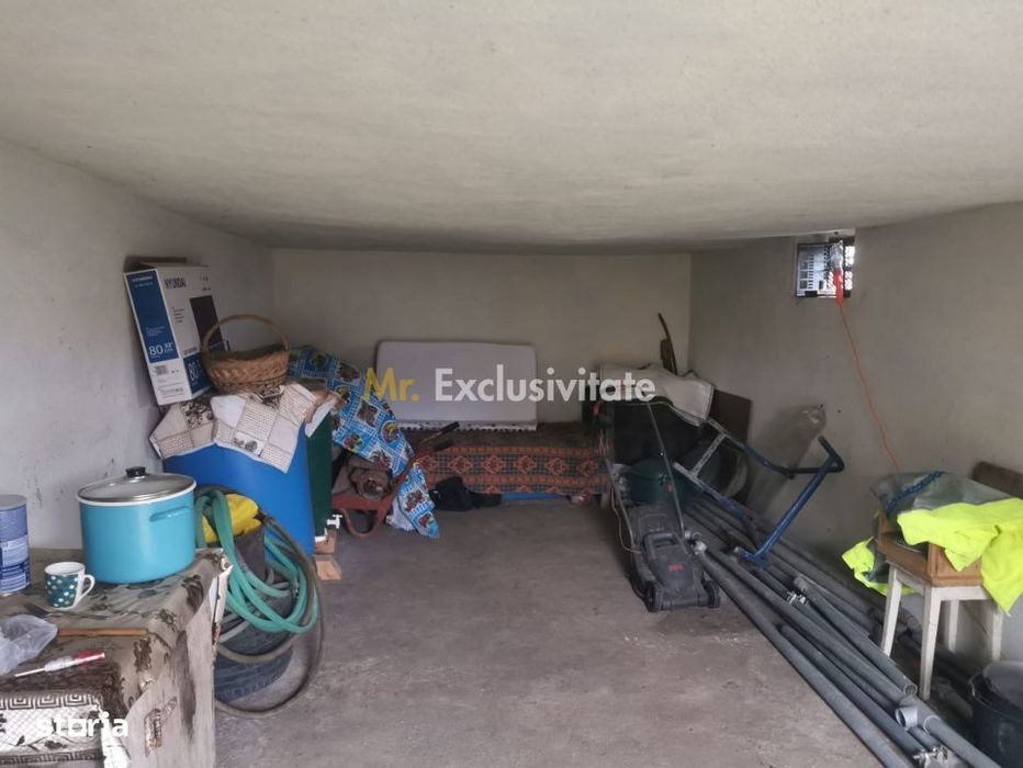 De vanzare casa in Argetoaia cu teren 7.000 mp