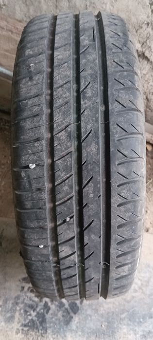 Жаздық доңғелек салылады