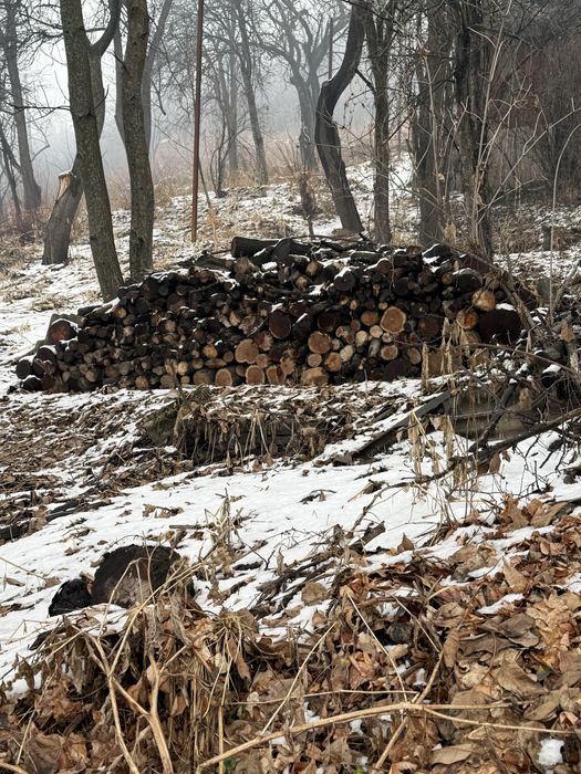 Дрова нарезанные сухостой