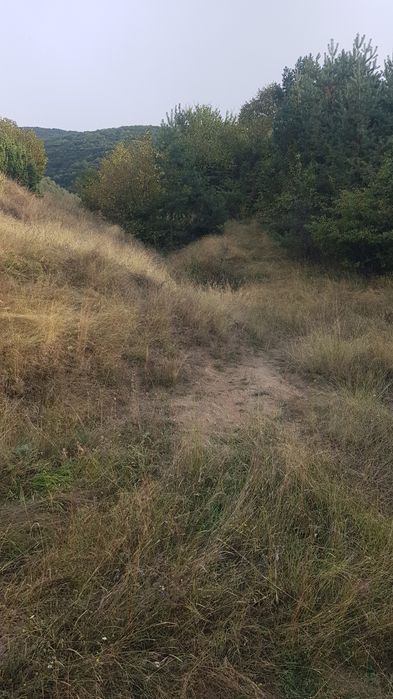 Продава се Парцел в Сапарева баня - 2200 кв.м за 21 €/кв.м - Снимка #2