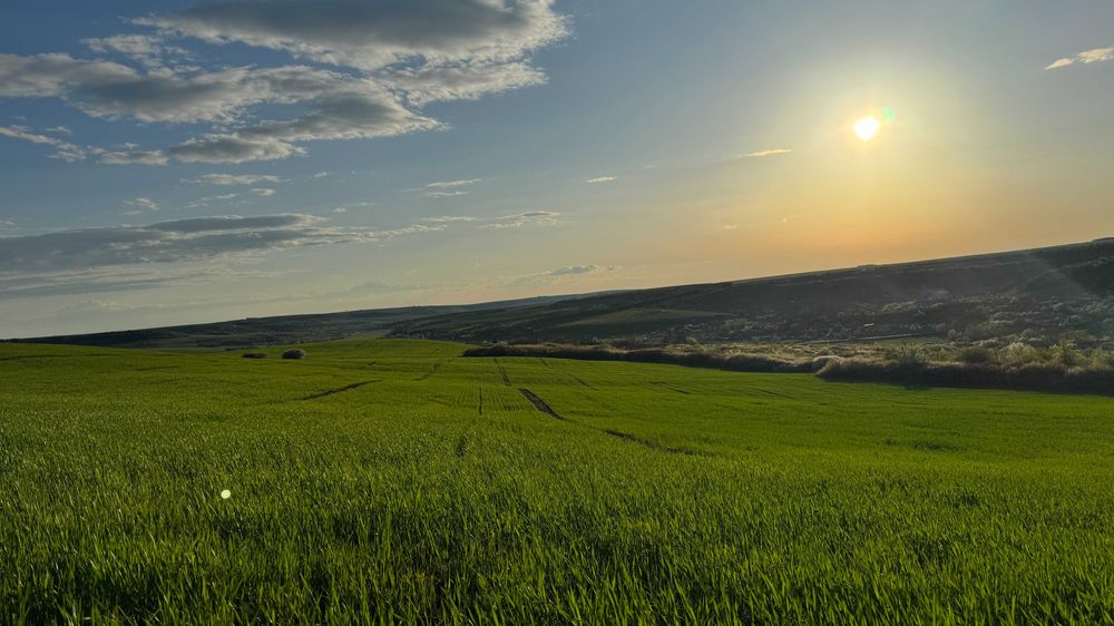 Teren de vânzare în Stanciova, județul Timiș – poziție panoramică