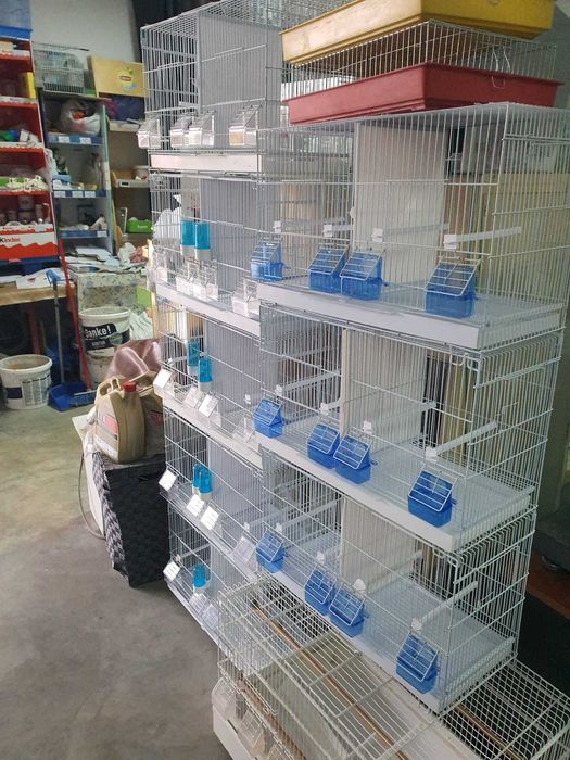 Colivii toate modelele noi si folosite