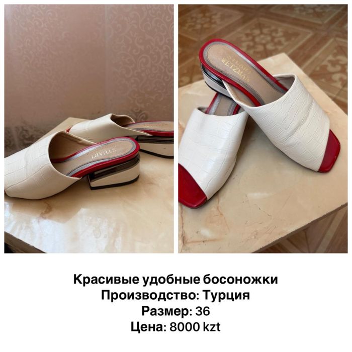 Продам басаношку красивый