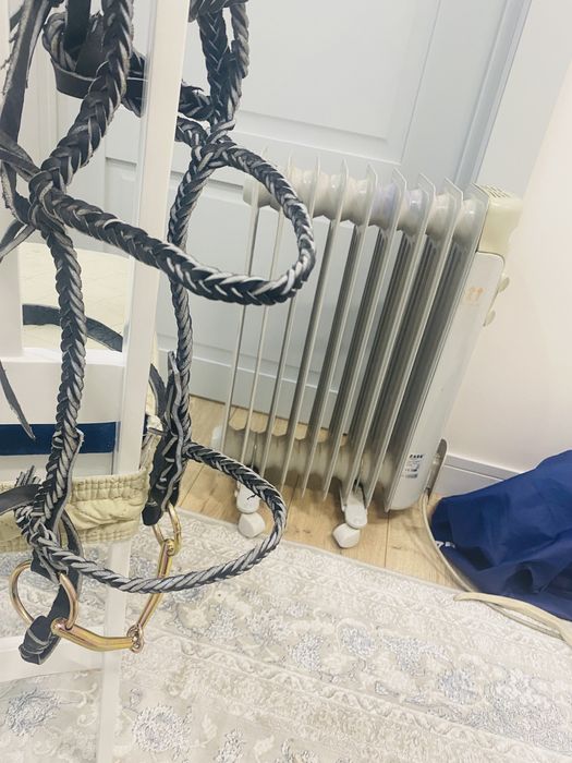 Жүген өмілдірік құйысқан