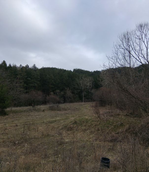 Продава имот в гр.Сапарева баня