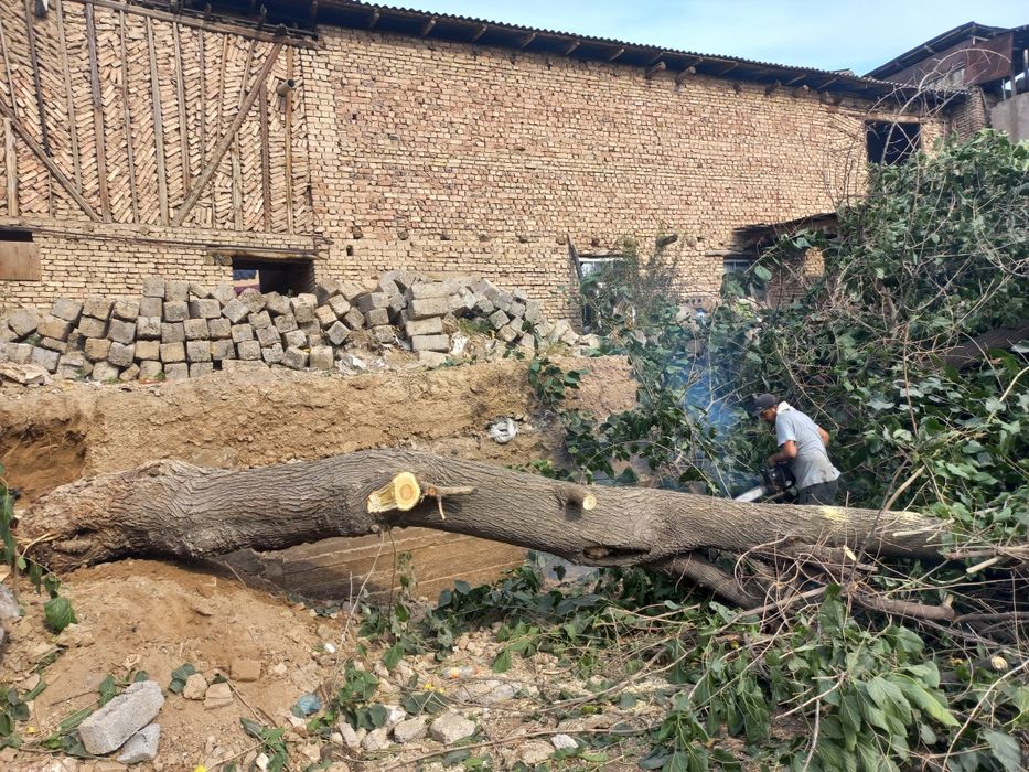 daraxt kesish xizmati