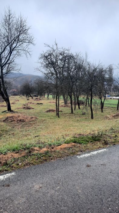 Teren intravilan
