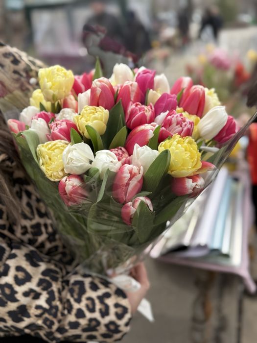 Срочно распподам тюльпаны по 300 тенге