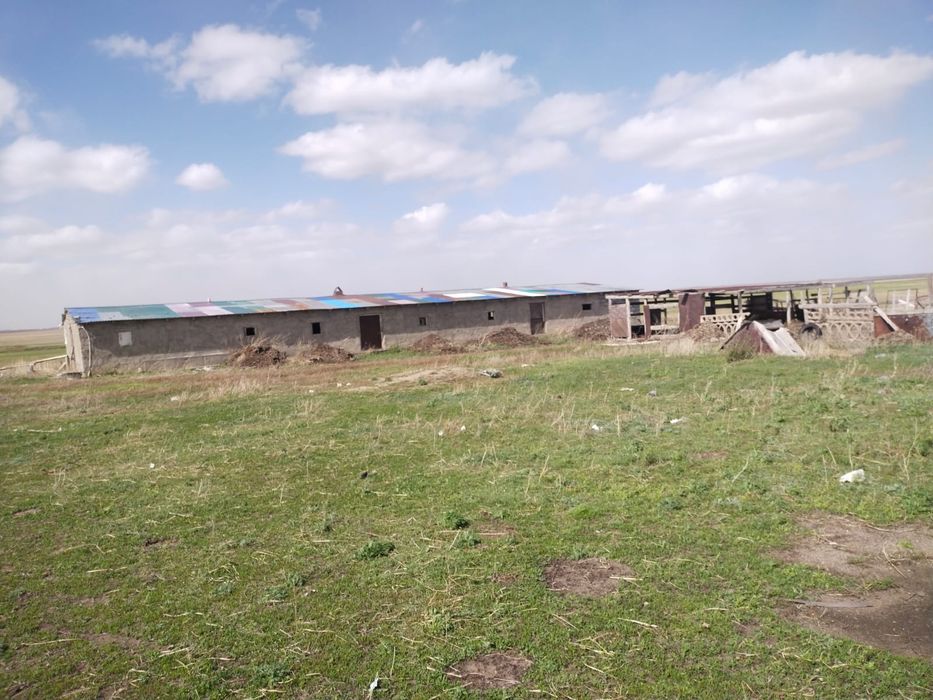 Продам дом с участком