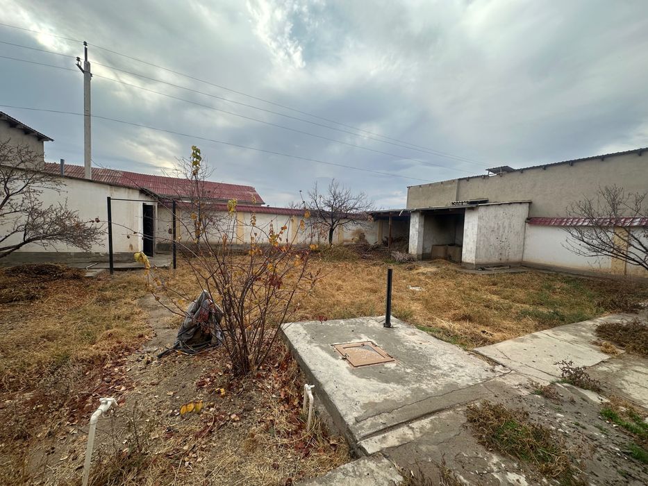 Katej kotej катеж