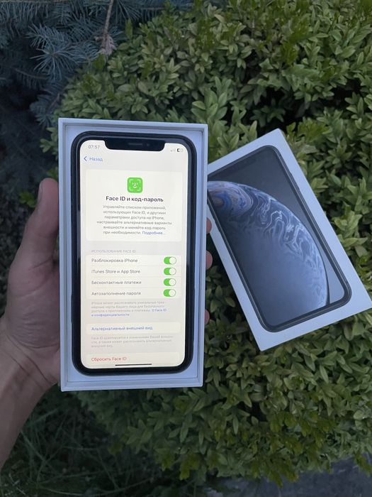 Iphone Xr