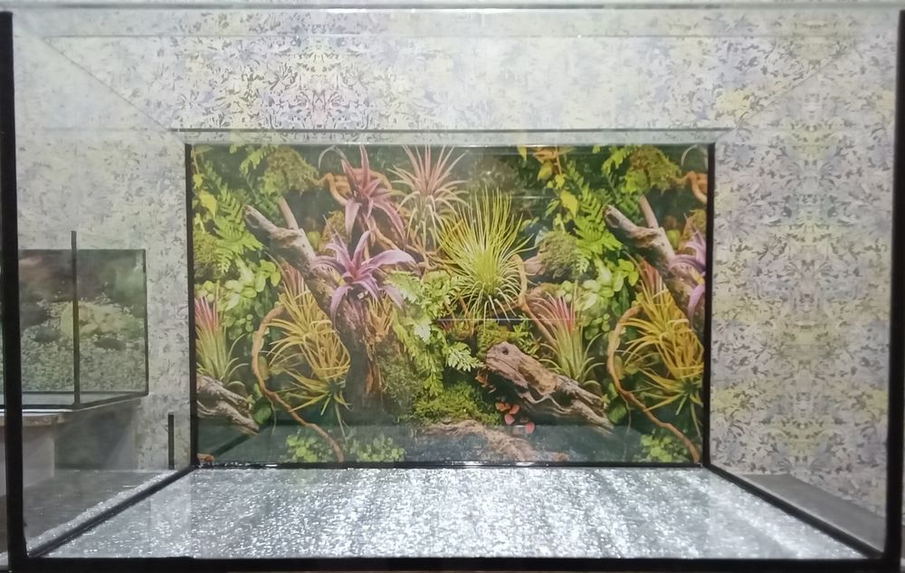 Аквариум 65 литров