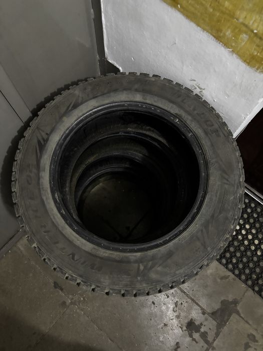 Продам зимнию ризину