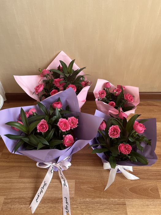 Цветы комнатные домашние