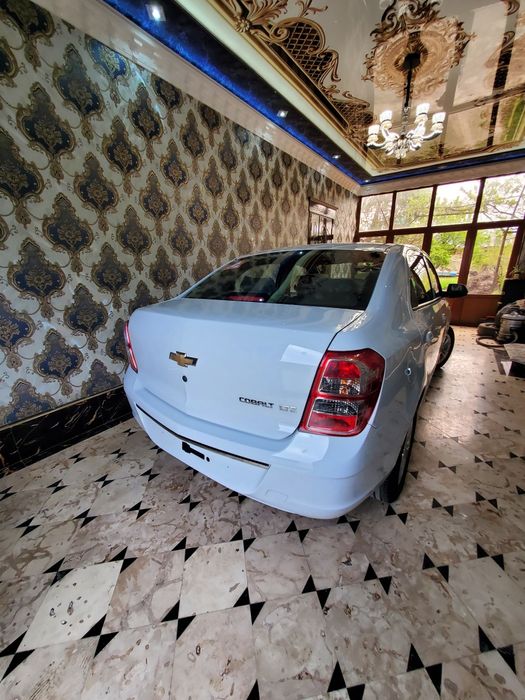 Коблт Автомат 2023 родной янги