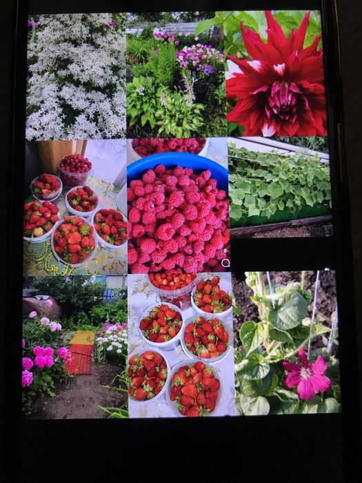 Дача 10 соток Общество «Ракета»