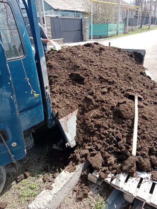 Навоз с доставкой.